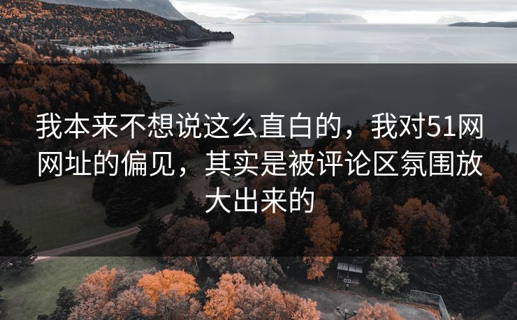 我本来不想说这么直白的，我对51网网址的偏见，其实是被评论区氛围放大出来的